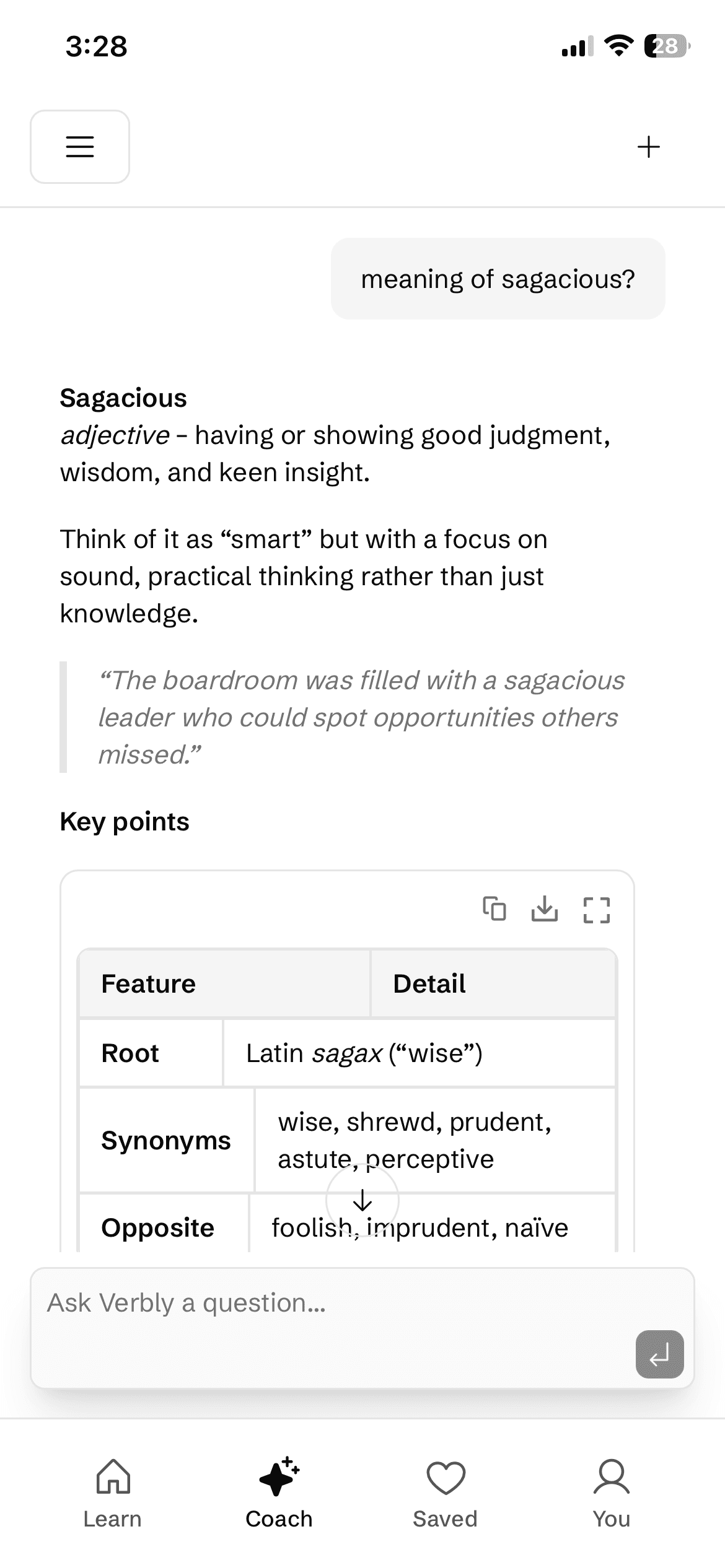 AI language coach chat interface with conversation history